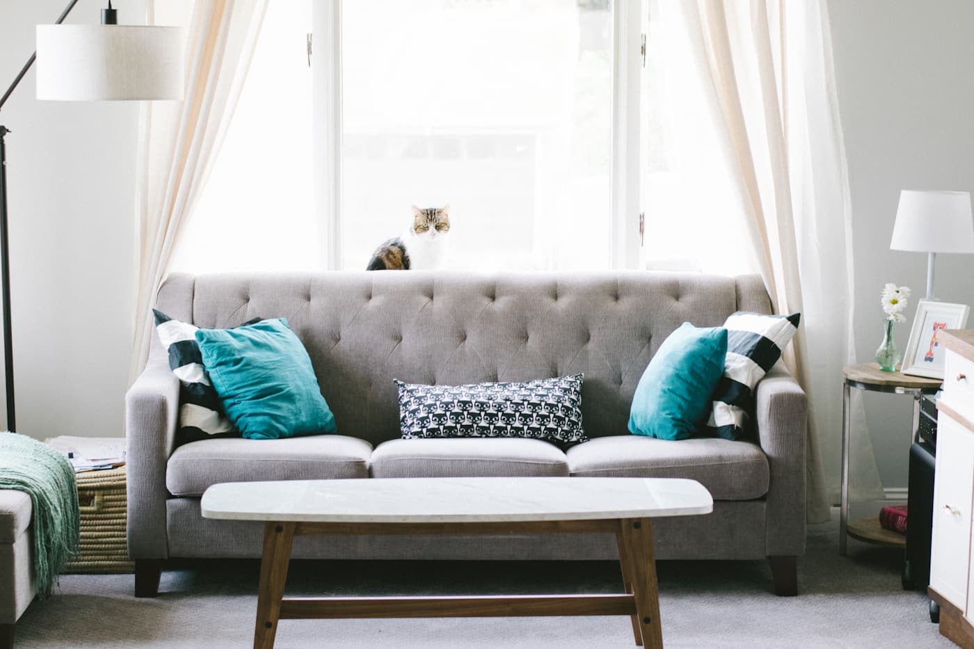 Close detail of a sofa and coffee table in a showroom